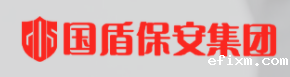 安徽国盾保安服务集团有限公司